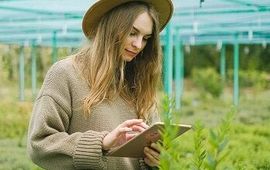 LE PARTAGE ÉCORESPONSABLE DE FICHIERS